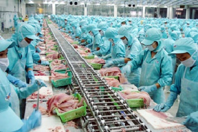 Xây dựng hệ thống quản lý chất lượng độc đáo